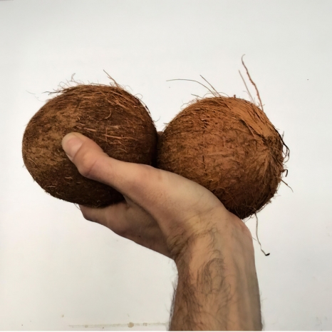 Adriano Costa, Coconuts, 2022, Mendes Wood DM