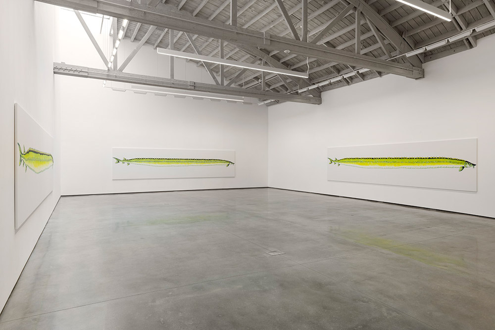 Calvin Marcus David Kordansky Gallery 