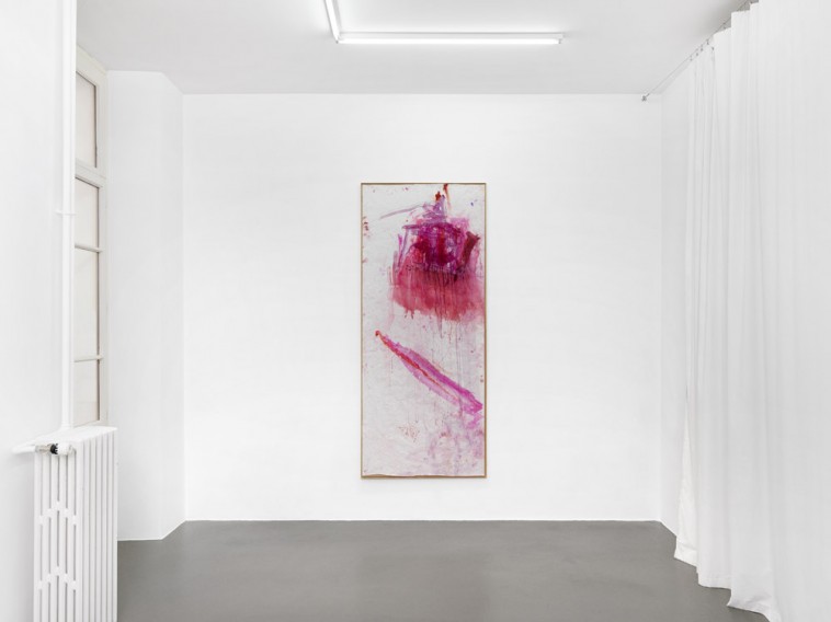 Martha Jungwirth Galerie Mezzanin 