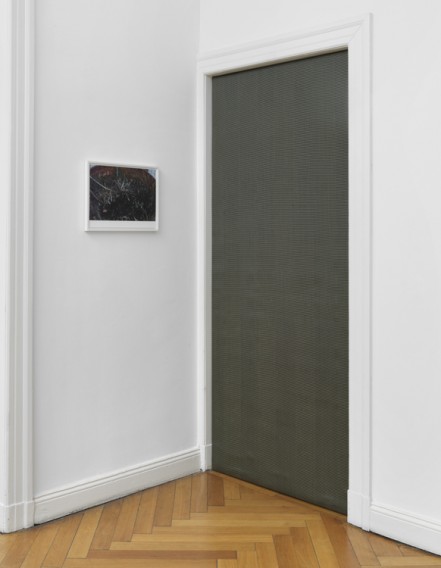 Wolfgang Tillmans Galerie Buchholz 
