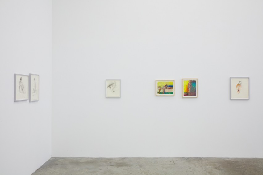 Patrick Angus Bortolami Gallery 