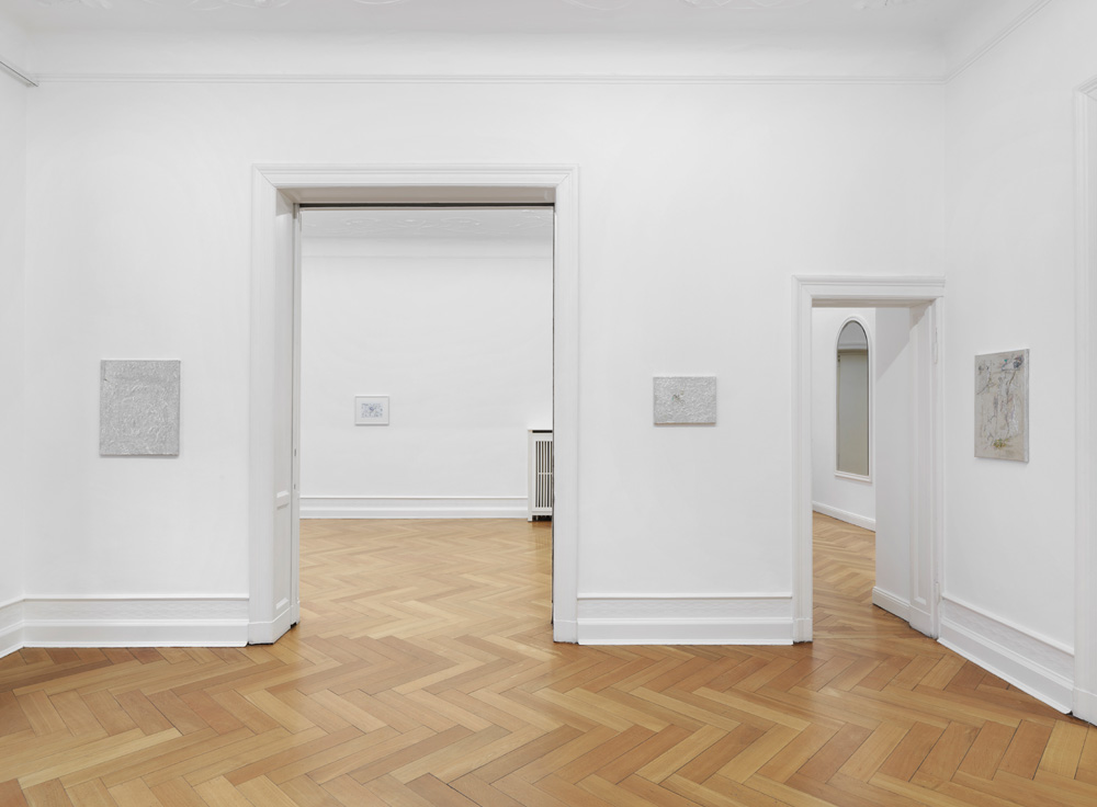 Josef Strau Galerie Buchholz 