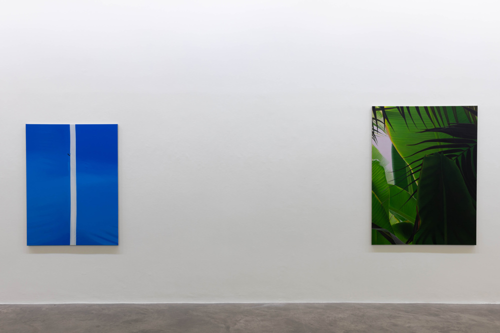 Marcel Vidal Kerlin Gallery 