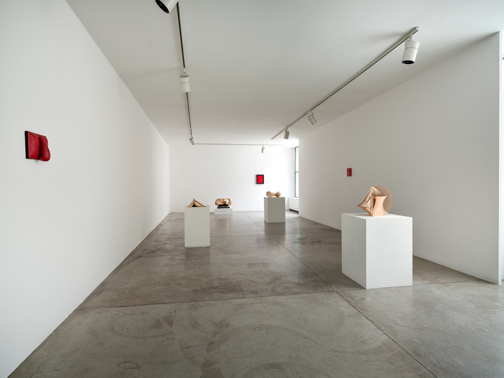Agostino Bonalumi Cardi Gallery 