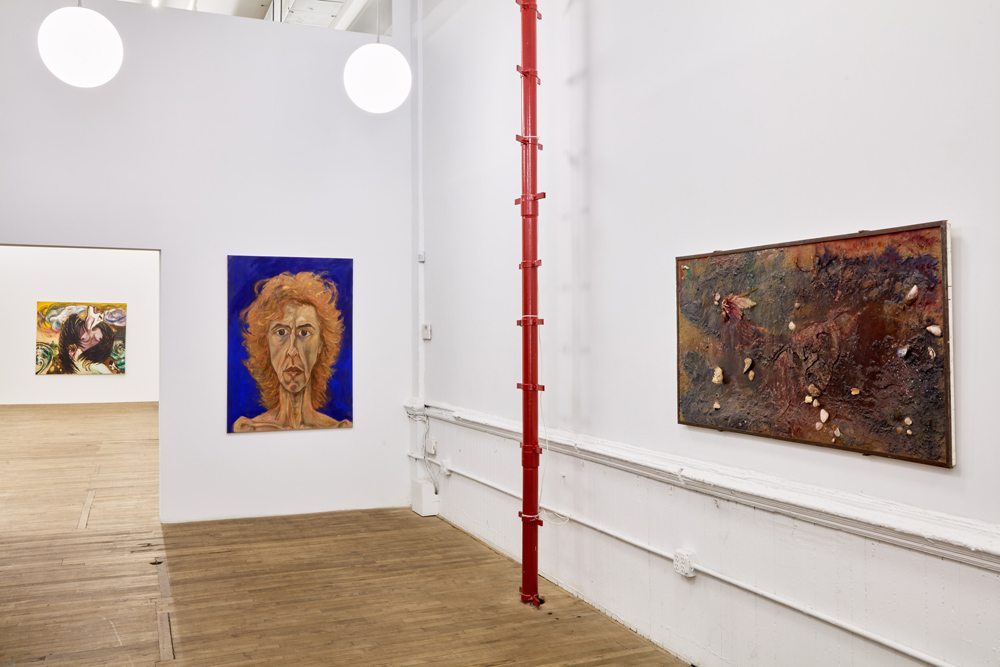 Marcia Schvartz  Bortolami Gallery 