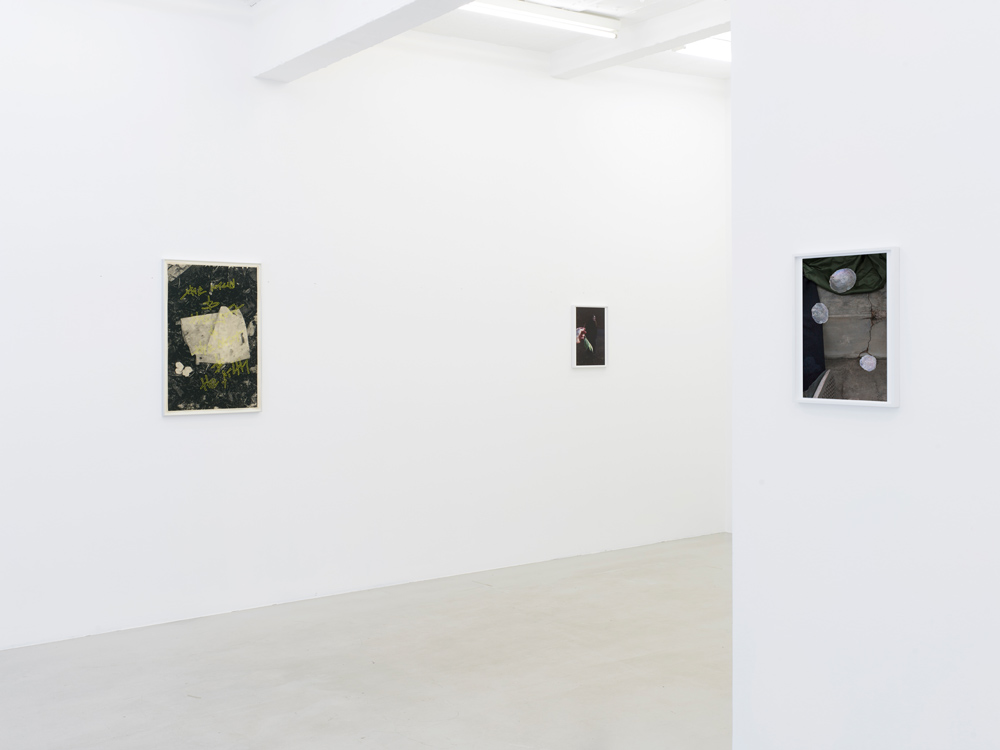 Paul Hutchinson Sies + Höke Galerie 
