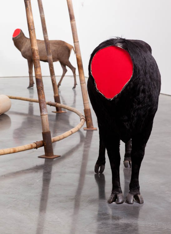 Haung Yong Ping Gladstone Gallery 