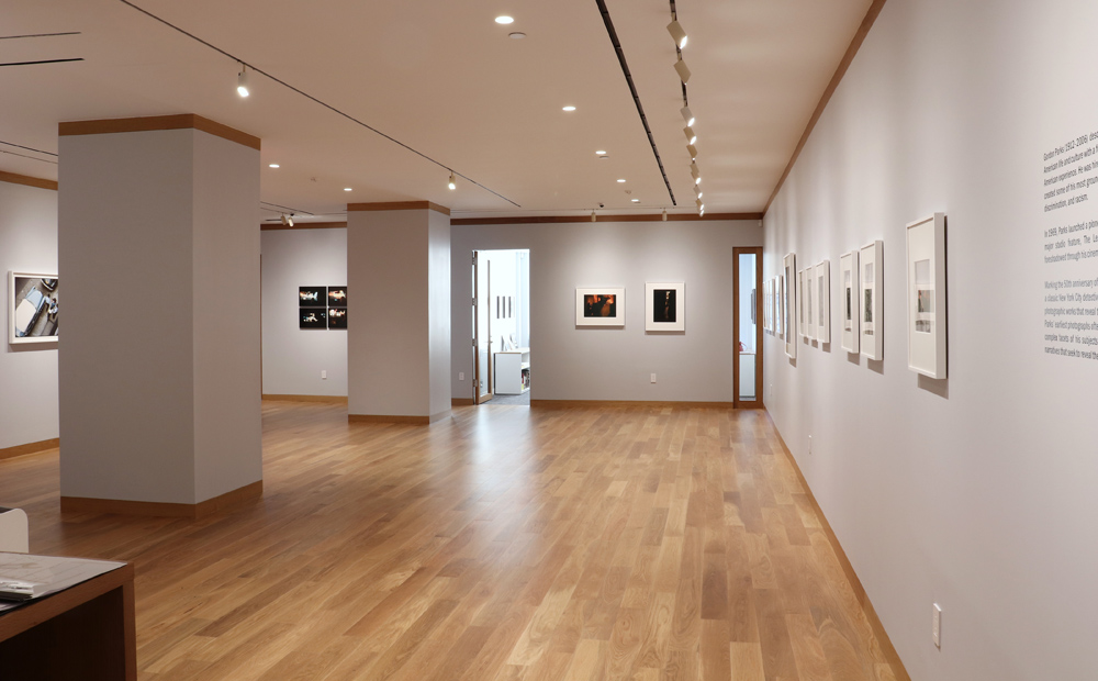 Gordon Parks Howard Greenberg Gallery 