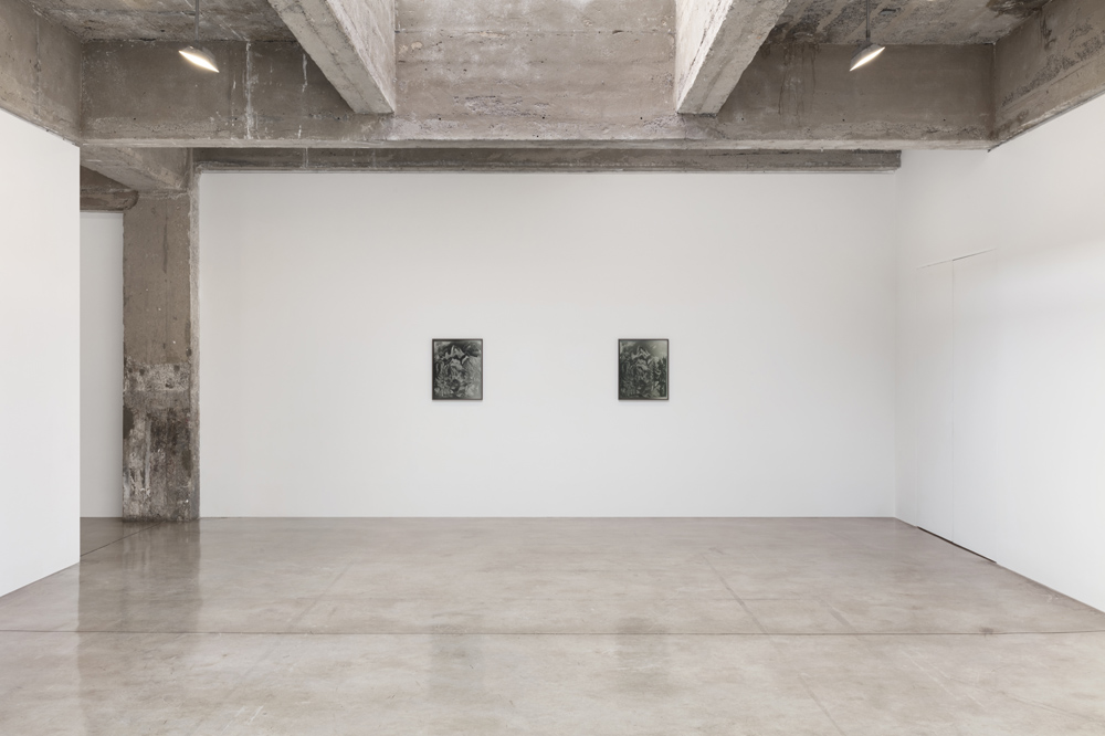 Lisa Oppenheim Tanya Bonakdar Gallery 
