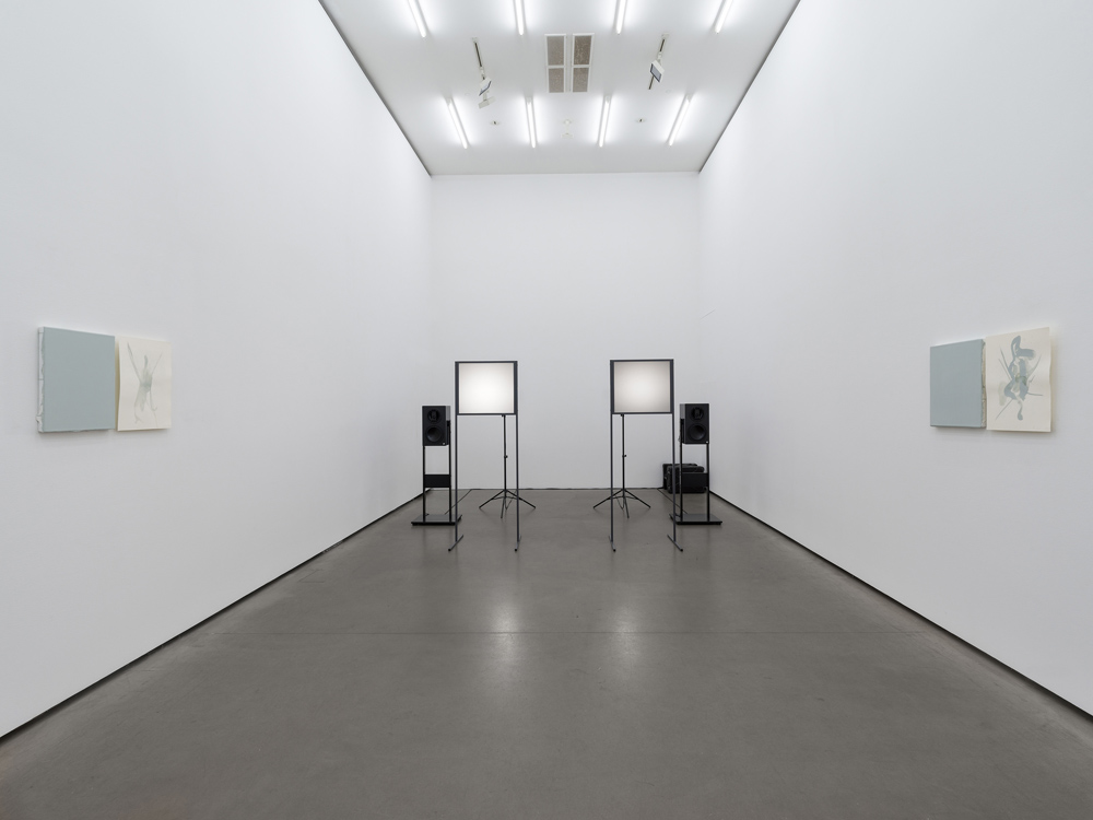 Carsten Nicolai + Albert Oehlen  Galerie EIGEN + ART 