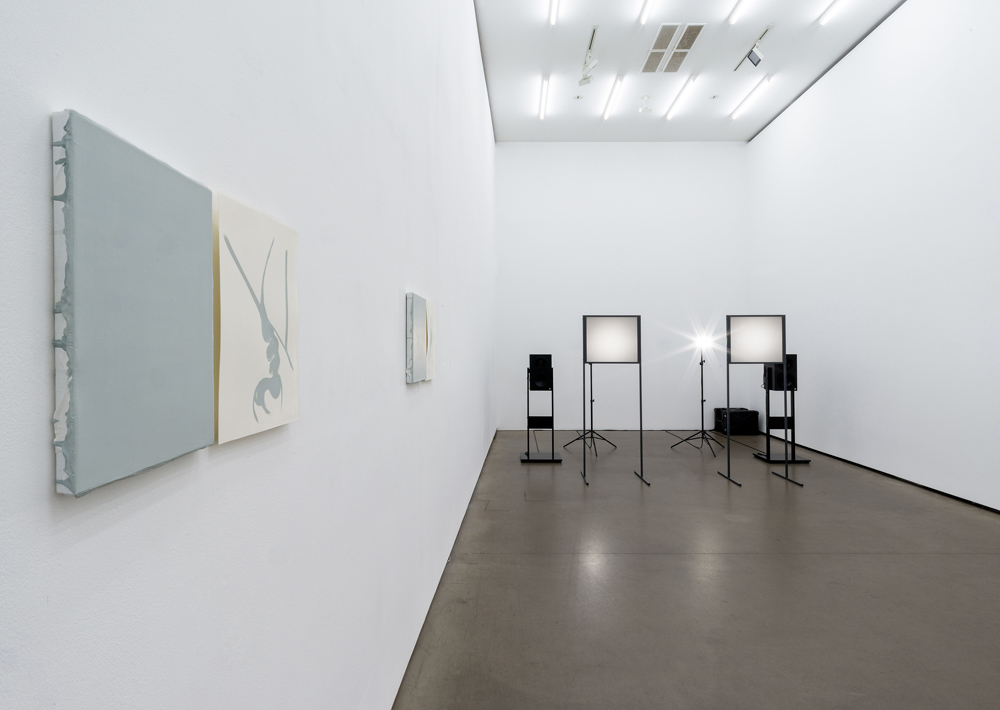 Carsten Nicolai + Albert Oehlen  Galerie EIGEN + ART 