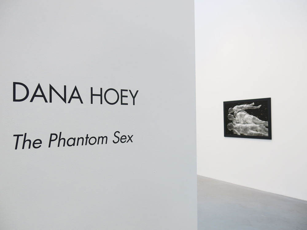 Dana Hoey Petzel Gallery 