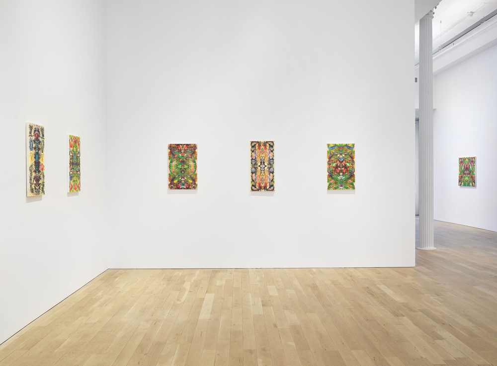 Philip Taaffe Luhring Augustine Tribeca 