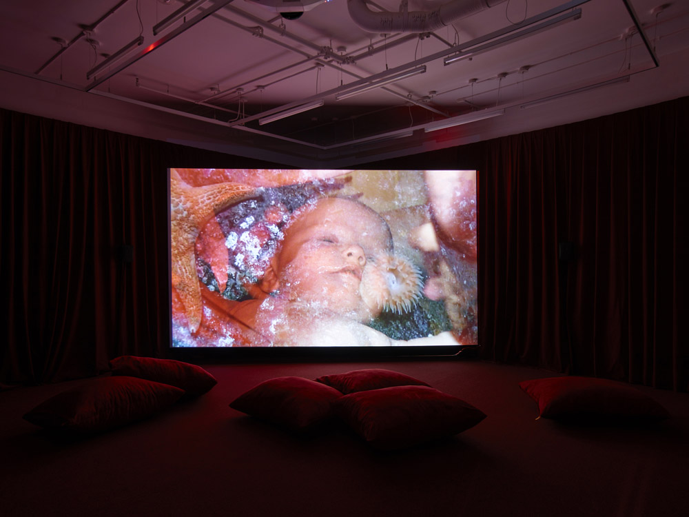 Laure Prouvost Lisson Gallery 