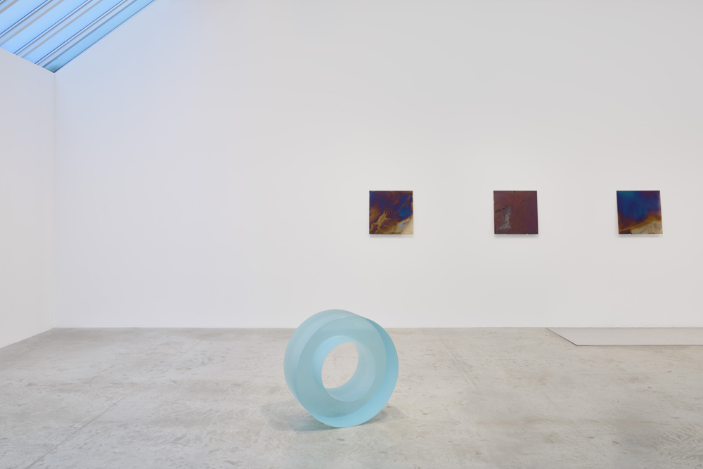 Ann Veronica Janssens Bortolami Gallery 