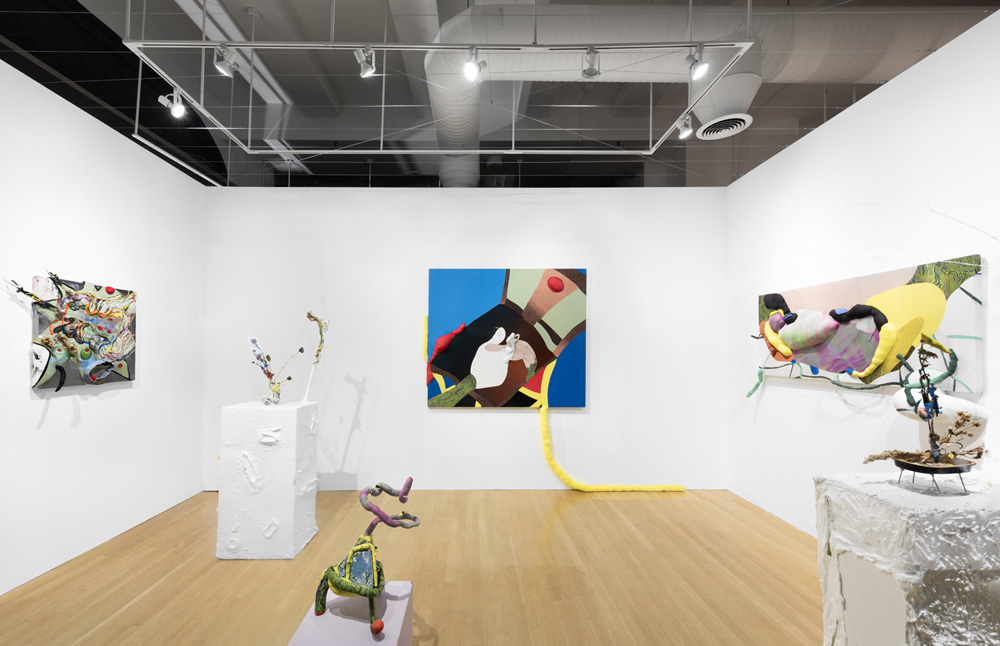Yuli Yamagata Anton Kern Gallery 
