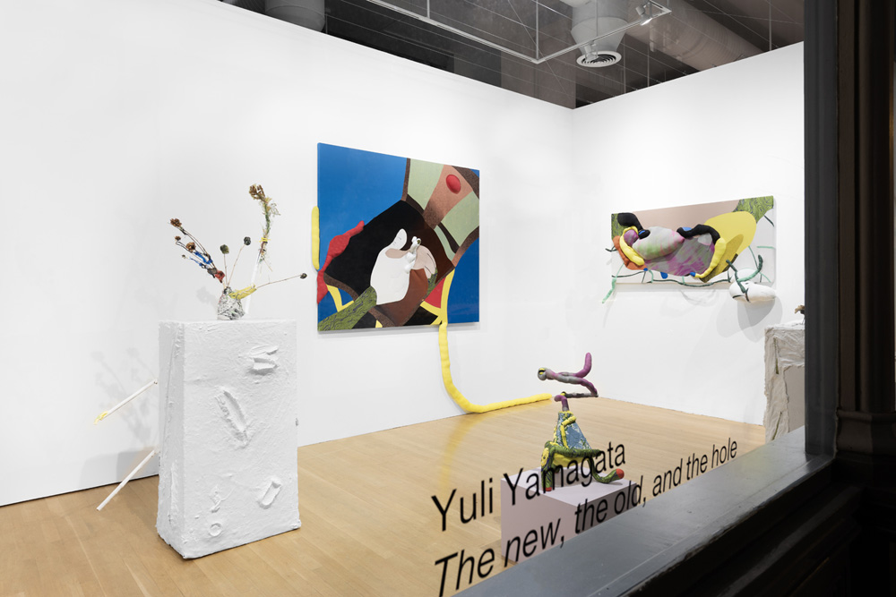 Yuli Yamagata Anton Kern Gallery 