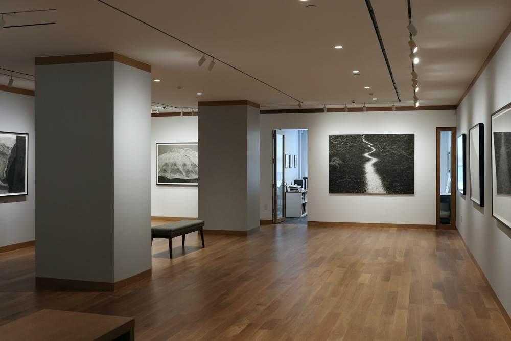 Jungjin Lee Howard Greenberg Gallery 