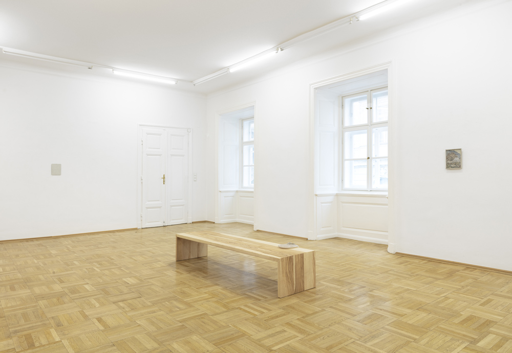 Karin Sander Galerie nächst St. Stephan Rosemarie Schwarzwälder 