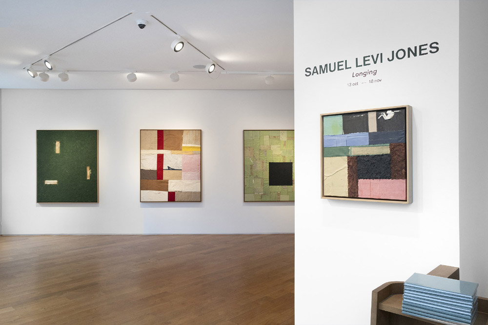 Samuel Levi Jones Galerie Lelong & Co. 