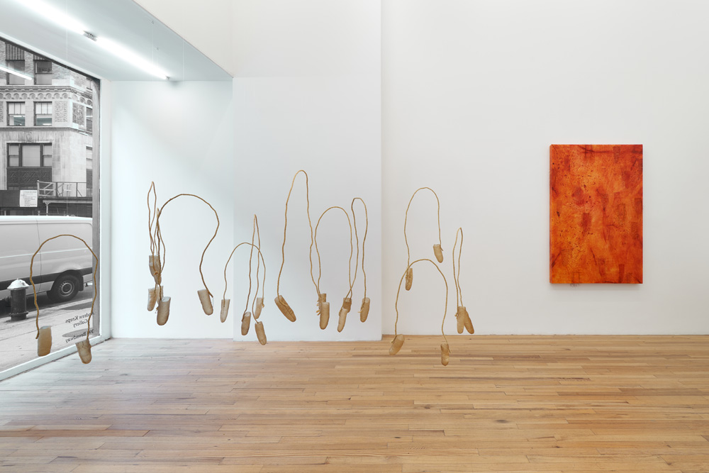 Sonya Kelliher-Combs Andrew Kreps Gallery 