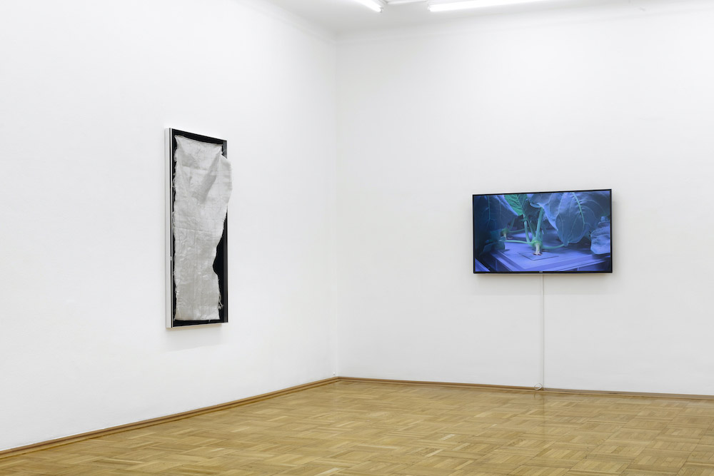 Galerie nächst St. Stephan Rosemarie Schwarzwälder 