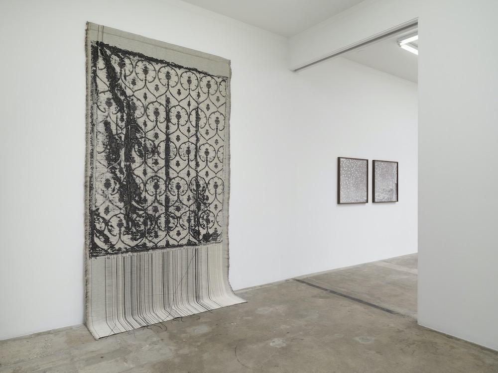Lisa Oppenheim Tanya Bonakdar Gallery 