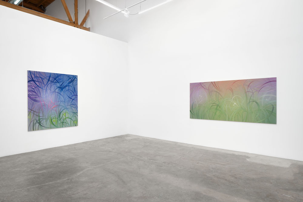 Sofia Nifora Baert Gallery 