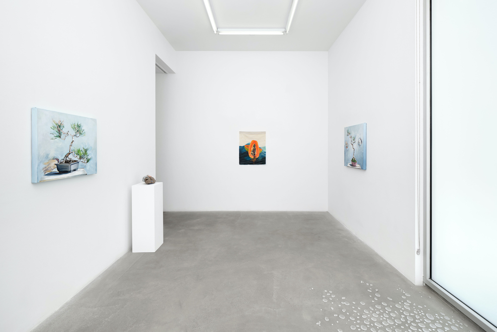  Tanya Bonakdar Gallery 