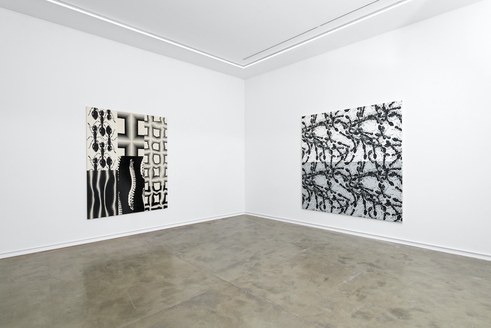 Peter Kogler Galerie Mitterrand 