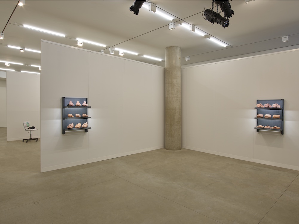 Josh Kline Lisson Gallery 