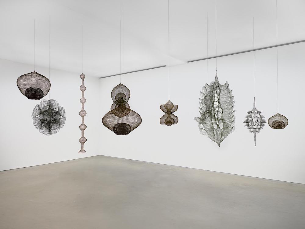 Ruth Asawa David Zwirner 