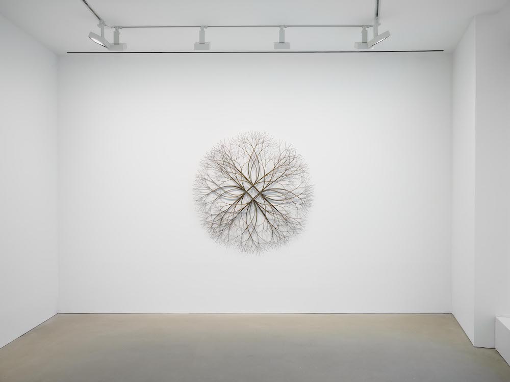 Ruth Asawa David Zwirner 