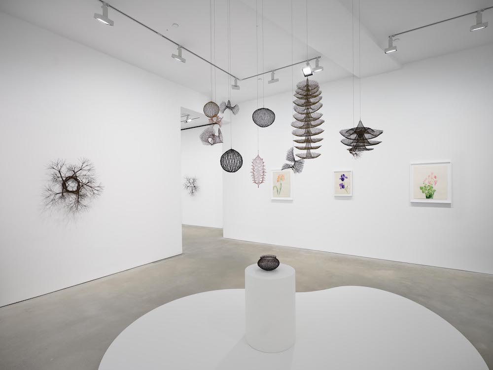 Ruth Asawa David Zwirner 