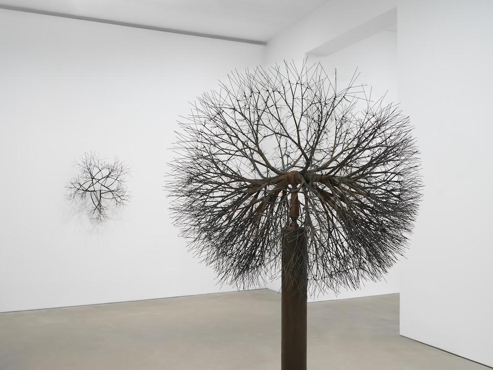 Ruth Asawa David Zwirner 