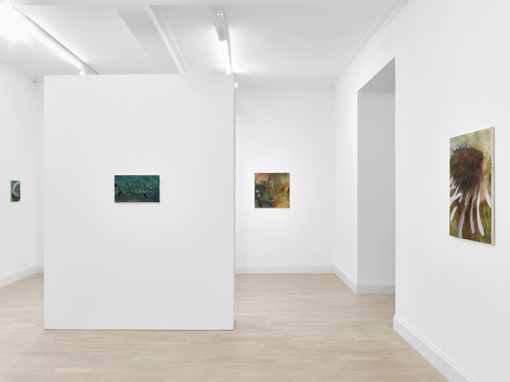 Hiroka Yamashita Sies + Höke Galerie 