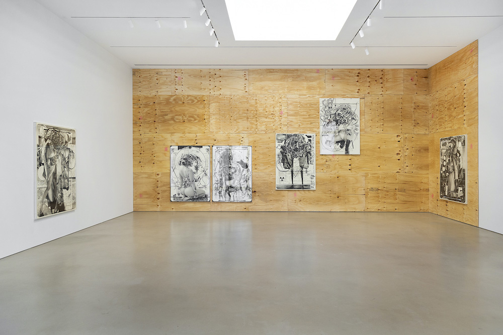 Hiroki Tsukuda Petzel Gallery 