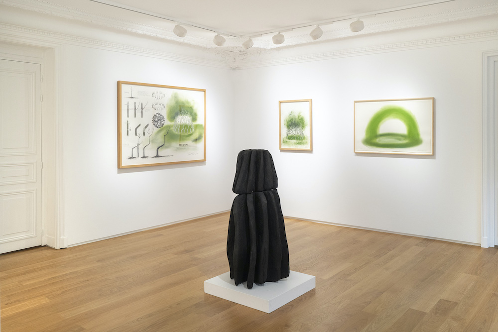 David Nash Galerie Lelong & Co. 