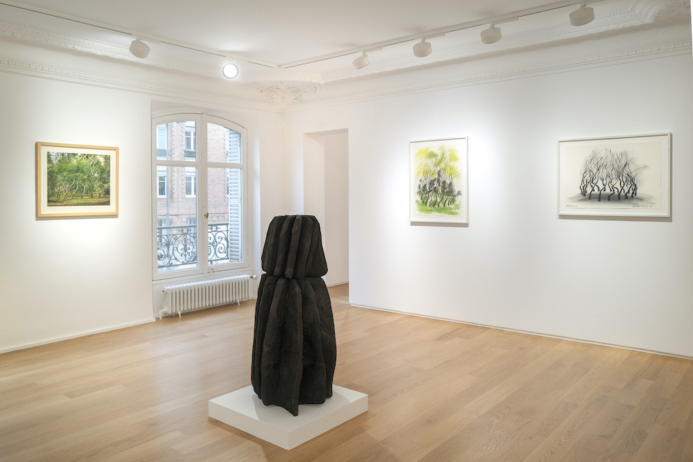 David Nash Galerie Lelong & Co. 