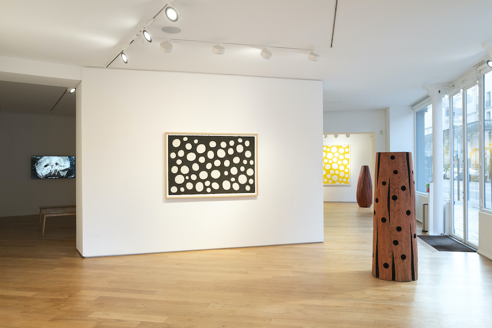 David Nash Galerie Lelong & Co. 