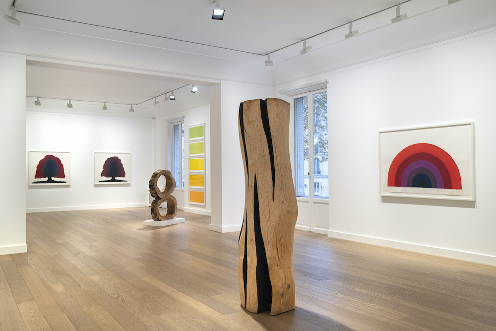 David Nash Galerie Lelong & Co. 