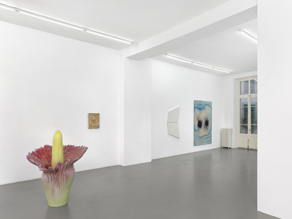 Mai-Thu Perret Galerie Mezzanin 