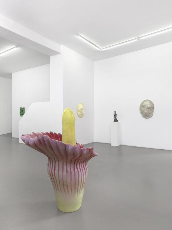 Mai-Thu Perret Galerie Mezzanin 