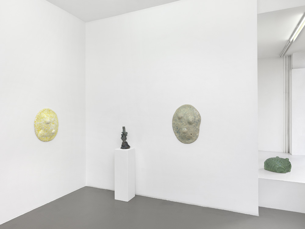 Mai-Thu Perret Galerie Mezzanin 