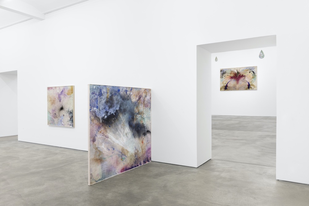 Lucy Dodd Sprüth Magers 