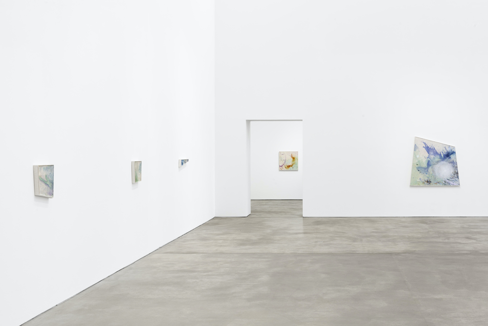 Lucy Dodd Sprüth Magers 