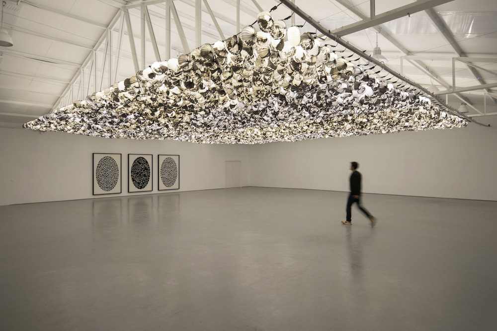 Carlos Aires  Sabrina Amrani 