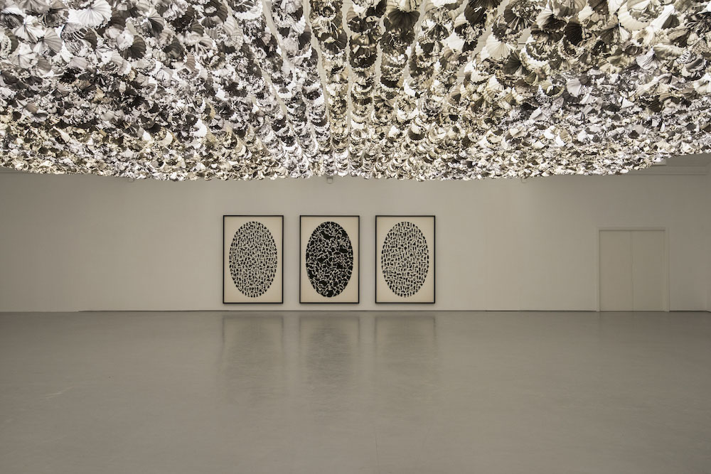 Carlos Aires  Sabrina Amrani 