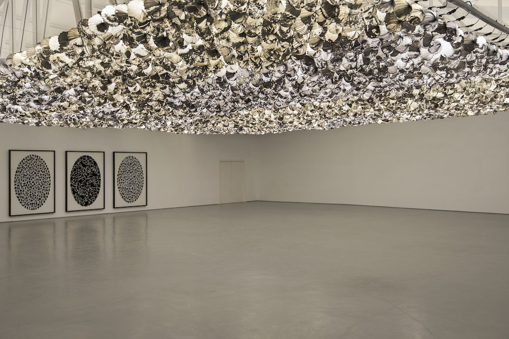 Carlos Aires  Sabrina Amrani 