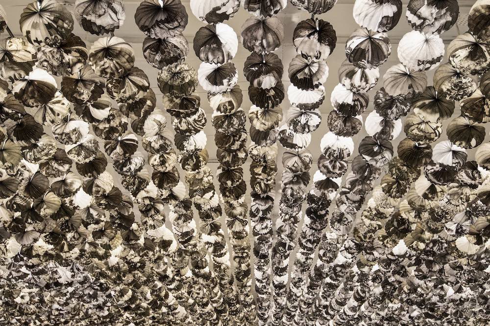 Carlos Aires  Sabrina Amrani 